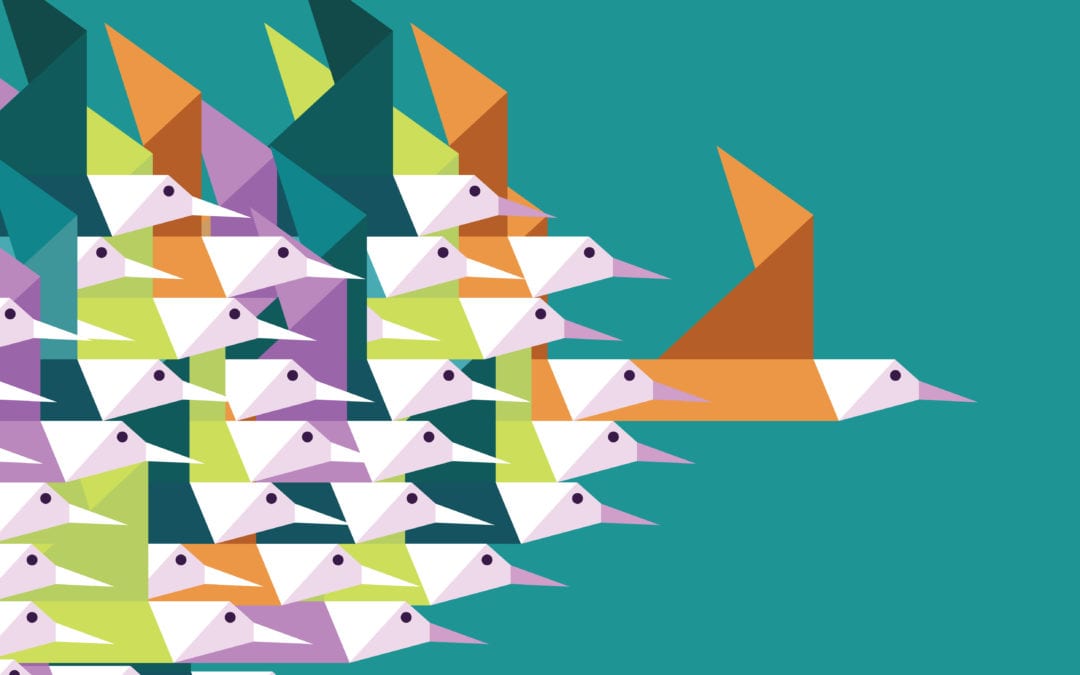 Leadership Lessons From Birds: Are You A Seagull Or A Goose?