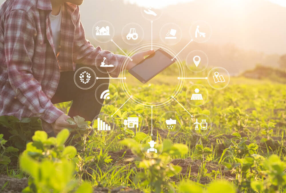 Top Executive Hiring Practices for Growing Agri-Businesses