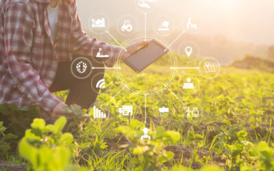 Top Executive Hiring Practices for Growing Agri-Businesses
