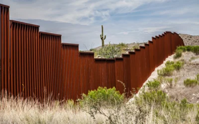 The Cross-Border Executive: What It Takes to Lead Across Cultures and Borders 