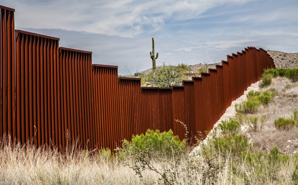 The Cross-Border Executive: What It Takes to Lead Across Cultures and Borders